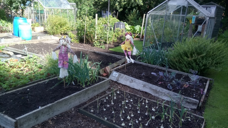 Moss Park Allotments